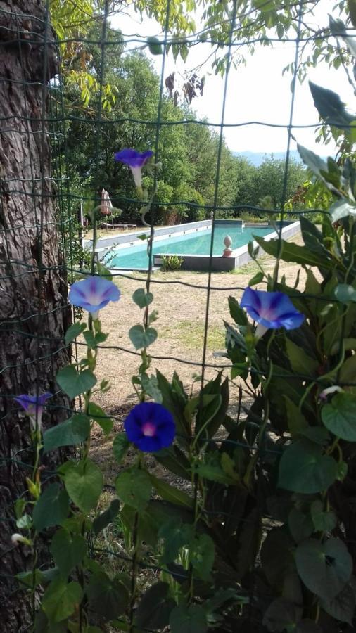 Apartmán Poggio A Sieve Villore Exteriér fotografie