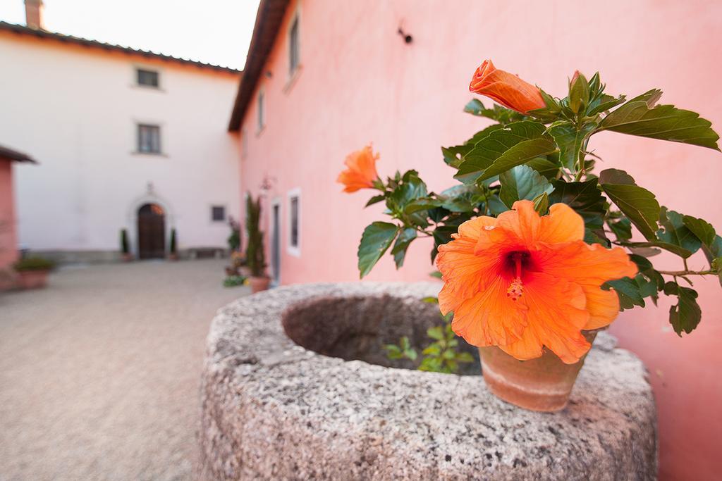 Apartmán Poggio A Sieve Villore Exteriér fotografie